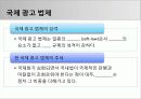 광고 법제 (광고 법제의 시초 및 종류, 국내 법제, 국제 법제, 광고 법제 관련 이슈들) 11페이지
