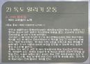 독도 알리기 14페이지