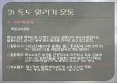 독도 알리기 15페이지