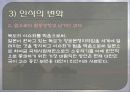 독도 알리기 20페이지