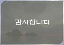 독도 알리기 21페이지