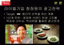 [동기유발]해찬들 마케팅커뮤니케이션 전략 광고 제품전략 9페이지