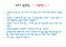 성서의 이해_사랑이란 2페이지
