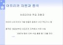 중국과 아프리카 자원 8페이지