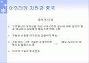 중국과 아프리카 자원 9페이지