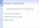중국과 아프리카 자원 10페이지