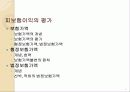 피보험이익 4페이지