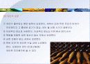 식음료의 개념 25페이지