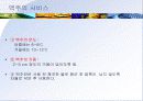 알코올성 음료(Alcoholic Beverages) 14페이지