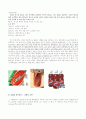 변화무쌍 펩시! 콜라 후발 마케팅 성공전략 25페이지