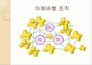 경영의사 결정 활동 9페이지