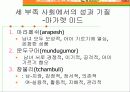 성과 사회-성별과 성역할 4페이지