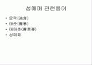 성매매의 다양한 시각으로 바라본 문제 1페이지