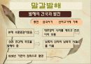 삼국유사를 읽고 4페이지