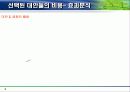 불법 다운로드 방지를 위한 대책분석 9페이지