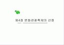 지역축제의 현황과 문제점 & 문화관광축제의 선정 10페이지