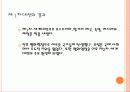 일본과 독일 그리고 세계대전 7페이지