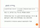 일본과 독일 그리고 세계대전 14페이지