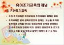 유아조기교육의 문제점과 긍정적 대안 5페이지