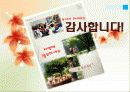 유아조기교육의 문제점과 긍정적 대안 16페이지
