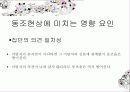 집단 속의 개인 - 동조현상과 집단의 영향 10페이지