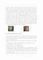 성병 음부포진(헤르페스)의 정의와 분류, 성병 음부포진(헤르페스)의 감염경로와 바이러스, 성병 음부포진(헤르페스)의 증상과 치료제, 성병 음부포진(헤르페스)의 치료, 성병 음부포진(헤르페스)의 예방 분석 4페이지