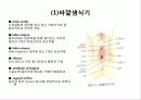 TVH (질식자궁절제술 :Total vaginal hysterectomy) 4페이지