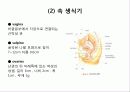 TVH (질식자궁절제술 :Total vaginal hysterectomy) 6페이지
