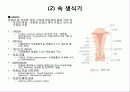 TVH (질식자궁절제술 :Total vaginal hysterectomy) 7페이지