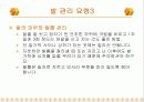 당뇨환자 교육자료 24페이지