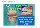 관절염 환자의 운동론 19페이지