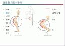 관절염 환자의 운동론 28페이지