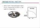 관절염 환자의 운동론 47페이지