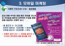 인터넷 마케팅의 개념 및 특징 21페이지