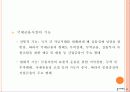 국제금융시장의 구조와 동향 5페이지