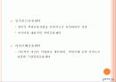국제금융시장의 구조와 동향 24페이지