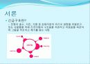 NGO와 긴급구호 5페이지