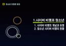 청소년의 사이버 비행 3페이지