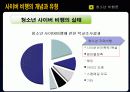 청소년의 사이버 비행 7페이지