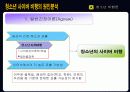 청소년의 사이버 비행 10페이지