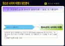 청소년의 사이버 비행 12페이지