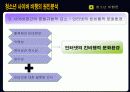 청소년의 사이버 비행 13페이지