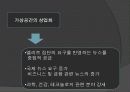 다매체 · 다채널 시대의 언론 30페이지