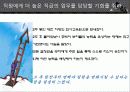 동기부여의 개념과 욕구 이론들 31페이지