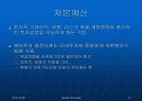 글로벌경영 글로벌경영의 재무적, 회계적 통제 8페이지