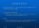 글로벌경영 글로벌경영의 재무적, 회계적 통제 10페이지