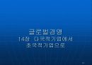 글로벌경영 글로벌경영의 재무적, 회계적 통제 12페이지