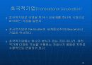 글로벌경영 글로벌경영의 재무적, 회계적 통제 20페이지