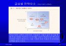 글로벌경영 글로벌전략의 수립 14페이지