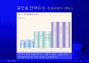 글로벌경영 글로벌전략의 수립 15페이지